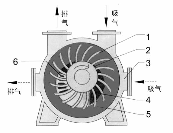 2BE1水环式真空泵结构图